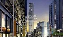 美国汇宝龙最新爆料,美国市场动态深度解析